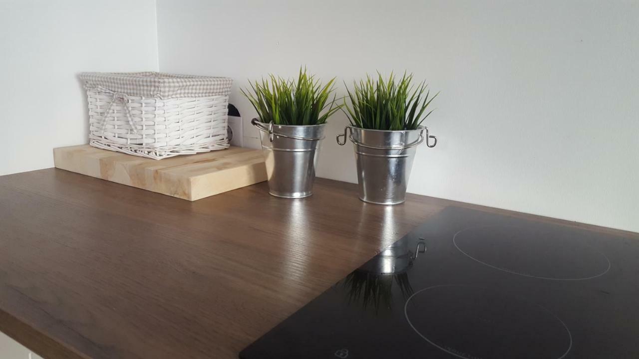 Roosi Apartment Pärnu Kültér fotó